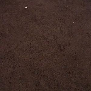 Meet your Posher, Dante